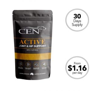 CEN Active Dog Joint Supplement