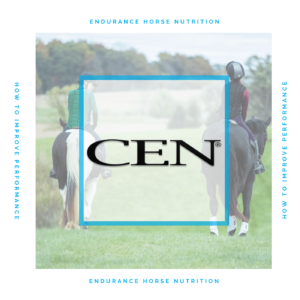 Episode 17 | ENDURANCE HORSE NUTRITION - How To Improve Performance