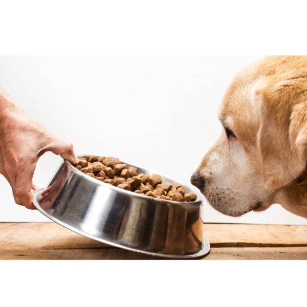 RED FLAG INGREDIENTS IN YOUR DOG'S FOODS