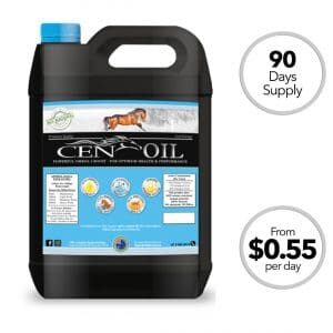 CEN OIL Product image