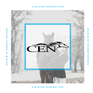 Episode 29 5 WINTER FEEDING TIPS - Feeding Horses In Winter