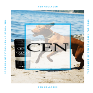 Episode 4 CEN Collagen Health Benefits For Dogs
