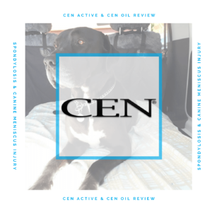 pisode 3 CEN Active & CEN Oil Testimonial - Spondylosis & Canine Meniscus Injury
