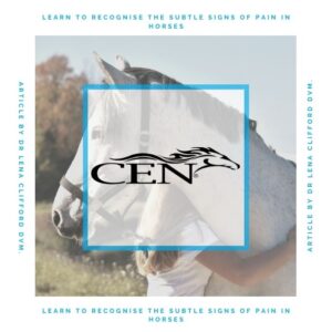 Episode 44 LEARN TO RECOGNISE THE SUBTLE SIGNS OF PAIN IN HORSES - Article By Dr Lena Clifford DVM.
