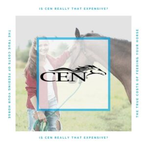 Episode 48 IS CEN REALLY THAT EXPENSIVE - The True Costs Of Feeding Your Horse