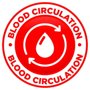 Blood Circulation Icon