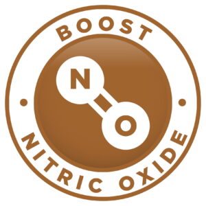 Boost Nitric Oxide Icon