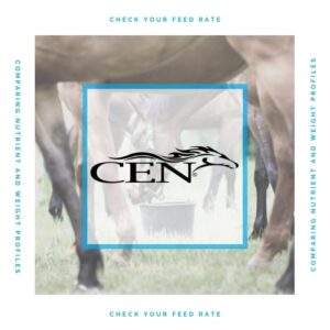 Episode 58 CHECK YOUR FEED RATE - Comparing Nutrient And Weight Profiles
