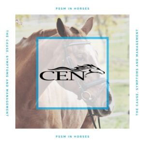 Episode 64 PSSM In Horses – The Cause, Symptoms And Management