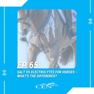 Ep. 65 | SALT Vs ELECTROLYTES FOR HORSES – What's The Difference?
