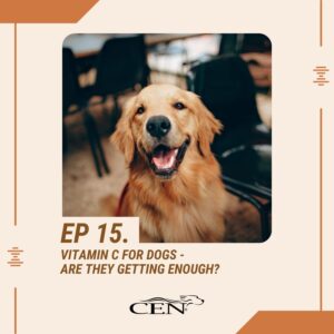 Vitamin C for dogs - Are they getting enough