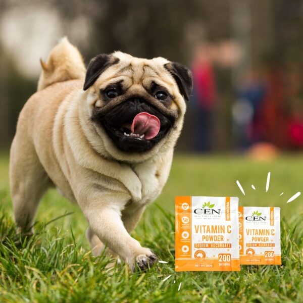 Vitamin C Benefits for dogs